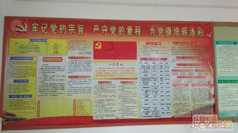 逗小猴开心系列185
